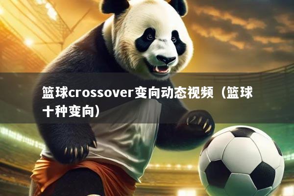 篮球crossover变向动态视频（篮球十种变向）