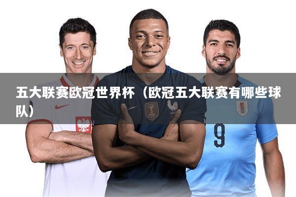 五大联赛欧冠世界杯（欧冠五大联赛有哪些球队）