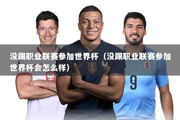 没踢职业联赛参加世界杯（没踢职业联赛参加世界杯会怎么样）