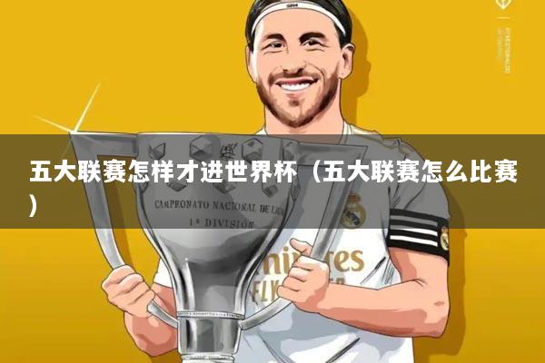 五大联赛怎样才进世界杯（五大联赛怎么比赛）