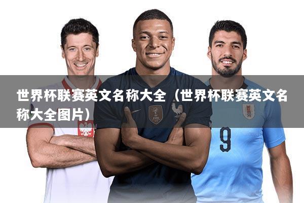 世界杯联赛英文名称大全(世界杯联赛英文名称大全图片)