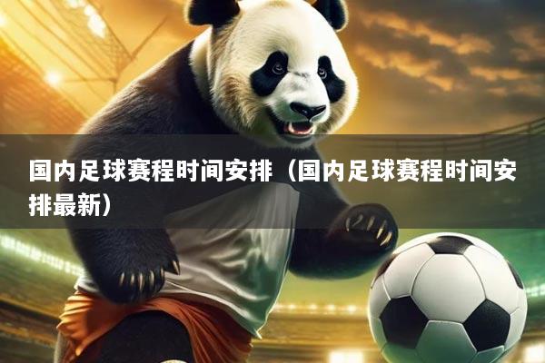 国内足球赛程时间安排（国内足球赛程时间安排最新）