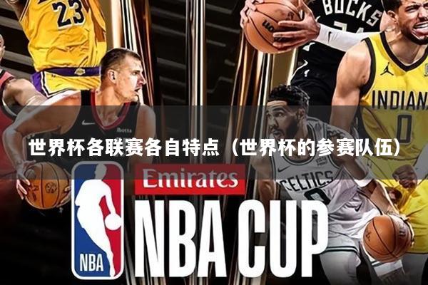 世界杯各联赛各自特点（世界杯的参赛队伍）