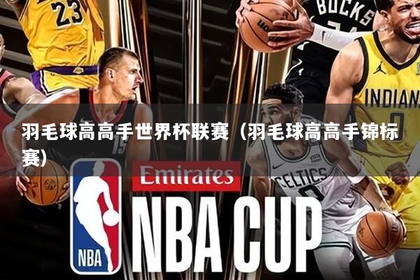 羽毛球高高手世界杯联赛（羽毛球高高手锦标赛）