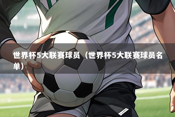世界杯5大联赛球员（世界杯5大联赛球员名单）