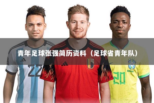 青年足球张强简历资料（足球省青年队）