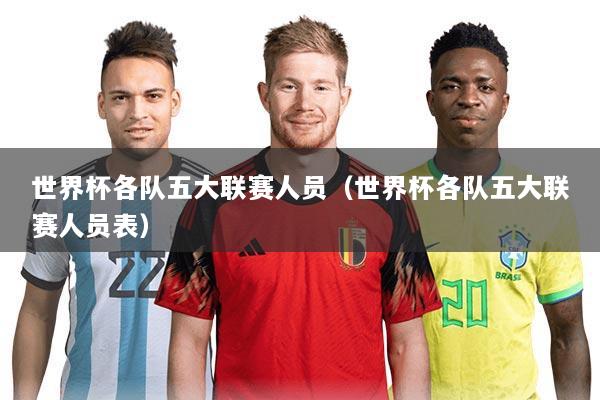 世界杯各队五大联赛人员（世界杯各队五大联赛人员表）