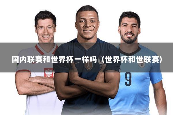 国内联赛和世界杯一样吗（世界杯和世联赛）