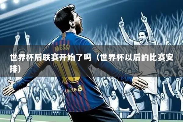 世界杯后联赛开始了吗（世界杯以后的比赛安排）