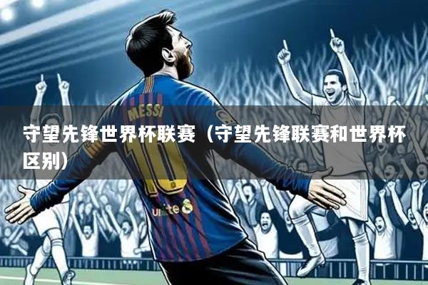 守望先锋世界杯联赛(守望先锋联赛和世界杯区别)